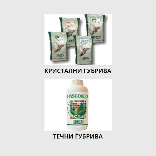 semenarstvo-clubeconomy